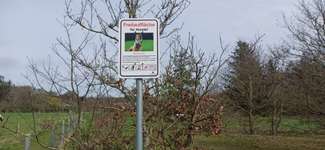 Hundeauslaufgebiet-Hundefreilauf Wyk-Bild