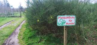 Hundeauslaufgebiet-Hundefreilauf Wyk-Bild