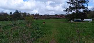 Hundeauslaufgebiet-Hundefreilauf Wyk-Bild