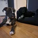 Ersteller:in Samira Profilbild