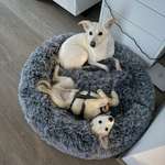 Ersteller:in Lisa Profilbild