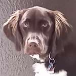 Ersteller:in Petra Profilbild