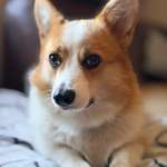 Ersteller:in Tobias Profilbild