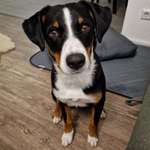 Ersteller:in Steffi Profilbild