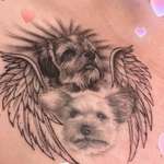 Ersteller:in Sonja Profilbild