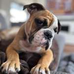 Ersteller:in Maik Profilbild