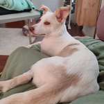 Ersteller:in Lucie Profilbild