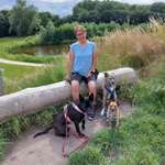 Ersteller:in Franzi Profilbild