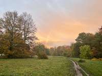 Hundeauslaufgebiet-Waldpark Mannheim-Bild