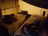 Glamping mit Hund-Beitrag-Bild