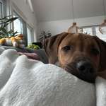 Ersteller:in Jessica Profilbild