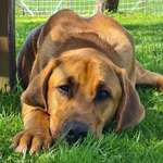 Ersteller:in Nadine Profilbild