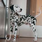 Ersteller:in Josefine Profilbild