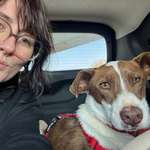 Ersteller:in Clara Profilbild