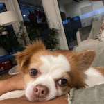 Ersteller:in C. Profilbild