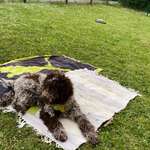 Ersteller:in Ray Profilbild