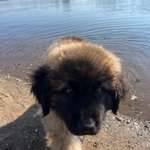 Ersteller:in Eileen Profilbild