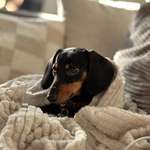 Ersteller:in Kathrin Profilbild