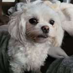 Ersteller:in Anne Profilbild