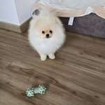 Ersteller:in Stefanie Profilbild