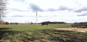 Hundeauslaufgebiet-Wald und Wiesen-Bild