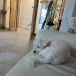 Ersteller:in Majida Profilbild