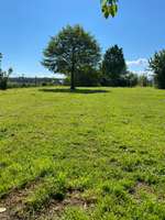 Hundeauslaufgebiet-Hundwiese Gohren-Bild