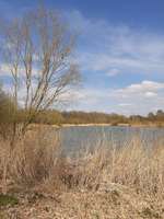 Hundeauslaufgebiet-Seenpark III-Bild