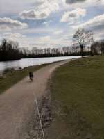 Hundeauslaufgebiet-Seenpark III-Bild