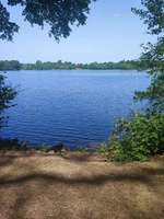 Hundeauslaufgebiet-Sechs Seenplatte-Bild