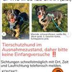 Suchmeldung-Spyro-Bild