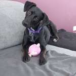 Ersteller:in Nikki Profilbild