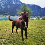 Ersteller:in Gina Profilbild