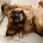 Ersteller:in Mia Profilbild