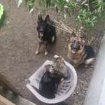 Ersteller:in Resa Profilbild