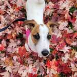 Ersteller:in Anne Profilbild