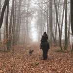 Ersteller:in Selina Profilbild