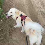 Ersteller:in Sabrina Profilbild