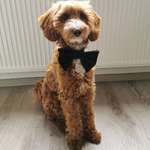 Ersteller:in Manolya Profilbild