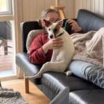 Ersteller:in Amelie Profilbild
