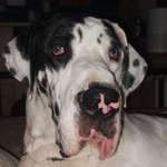 Ersteller:in Thomas Profilbild