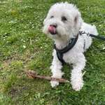 Ersteller:in Begüm Profilbild