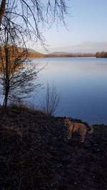 Hundeauslaufgebiet-Großer Weserbogen-Bild