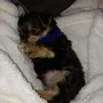 Ersteller:in Leia Profilbild