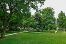 Hundeauslaufgebiet-Kaiser Friedrich Hain Park-Bild