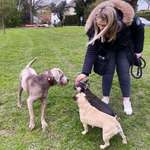 Ersteller:in Meg Profilbild