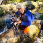 Ersteller:in Susan Profilbild