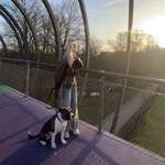 Ersteller:in Lysanne Profilbild