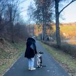 Ersteller:in Lysanne Profilbild