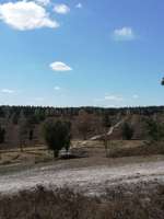 Hundeauslaufgebiet-Büsenbachtal-Bild